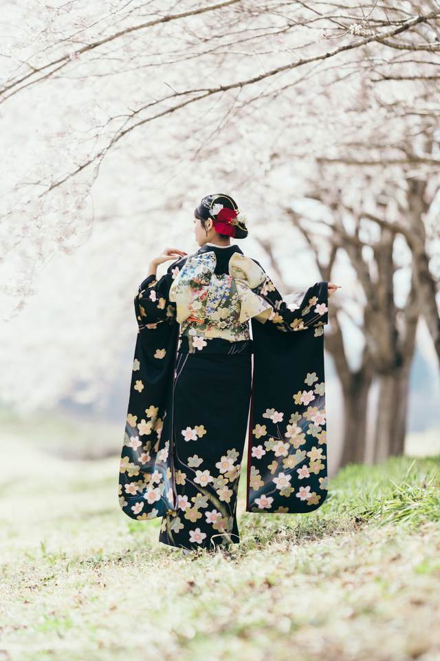 満開の桜並木で袖を広げる黒地の振袖姿